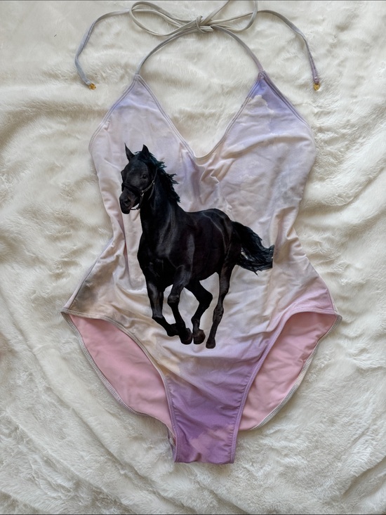 Wildfox Other - Rare Wildfox Couture Black Stallion swimsuit.